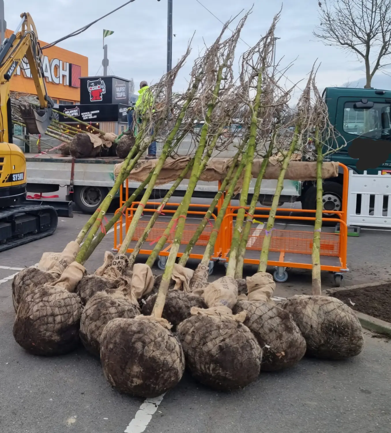 Leistungsspektrum Pftanzungen von D&S Schilz 