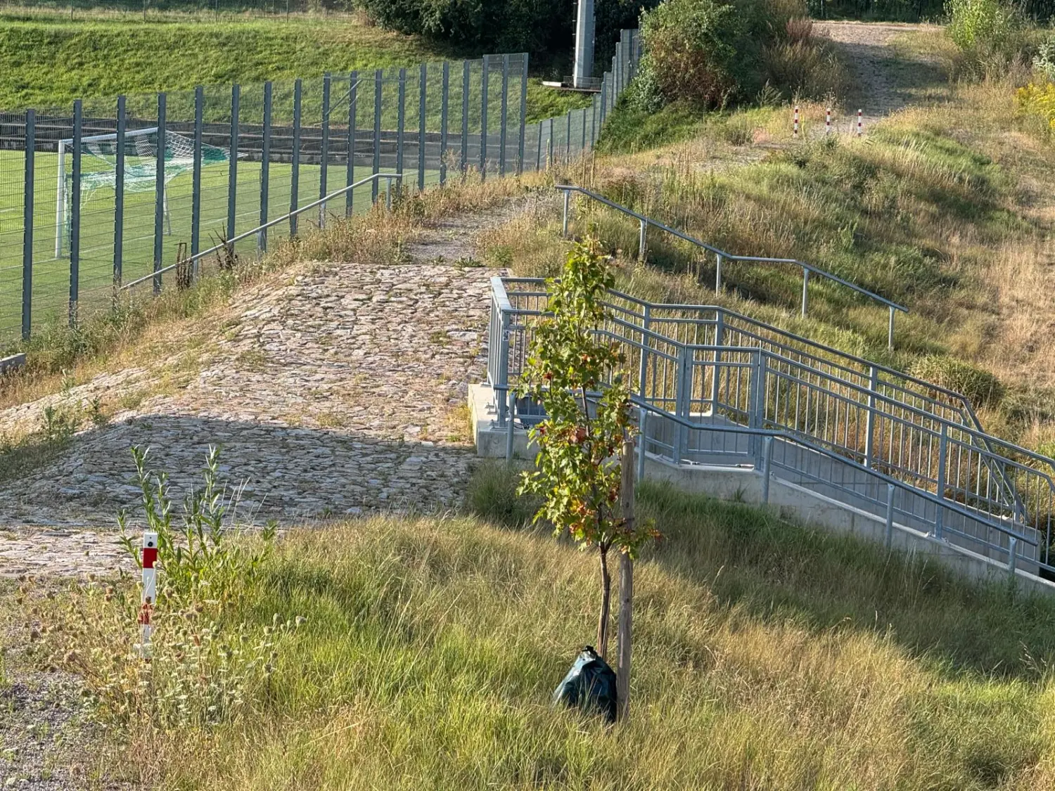 Gewässerpflege von D&S Schilz 