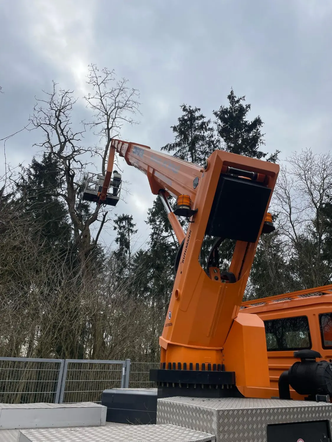 Leistungsspektrum Baumpflege von D&S Schilz 