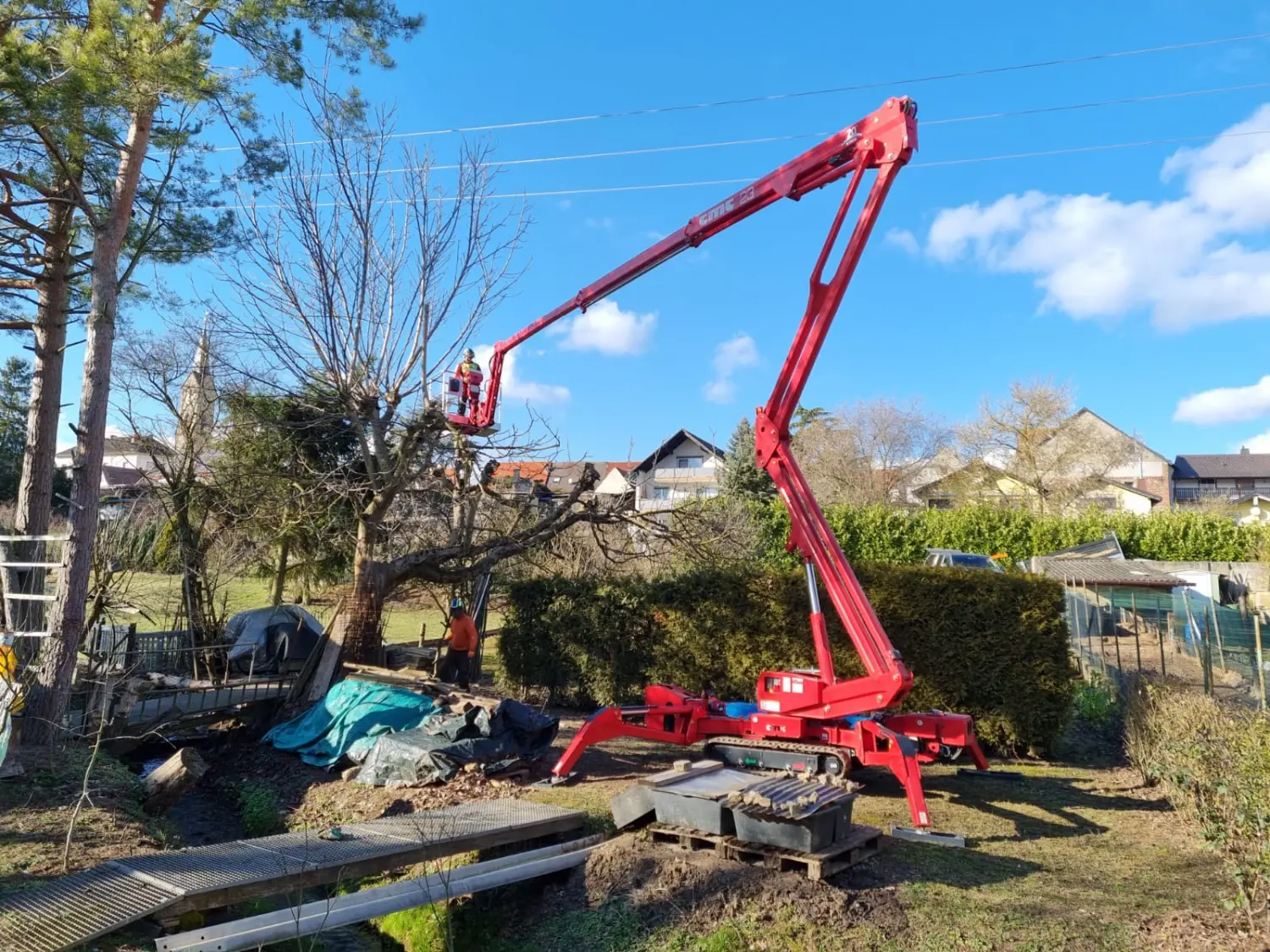 Leistungsspektrum Baumpflege von D&S Schilz 