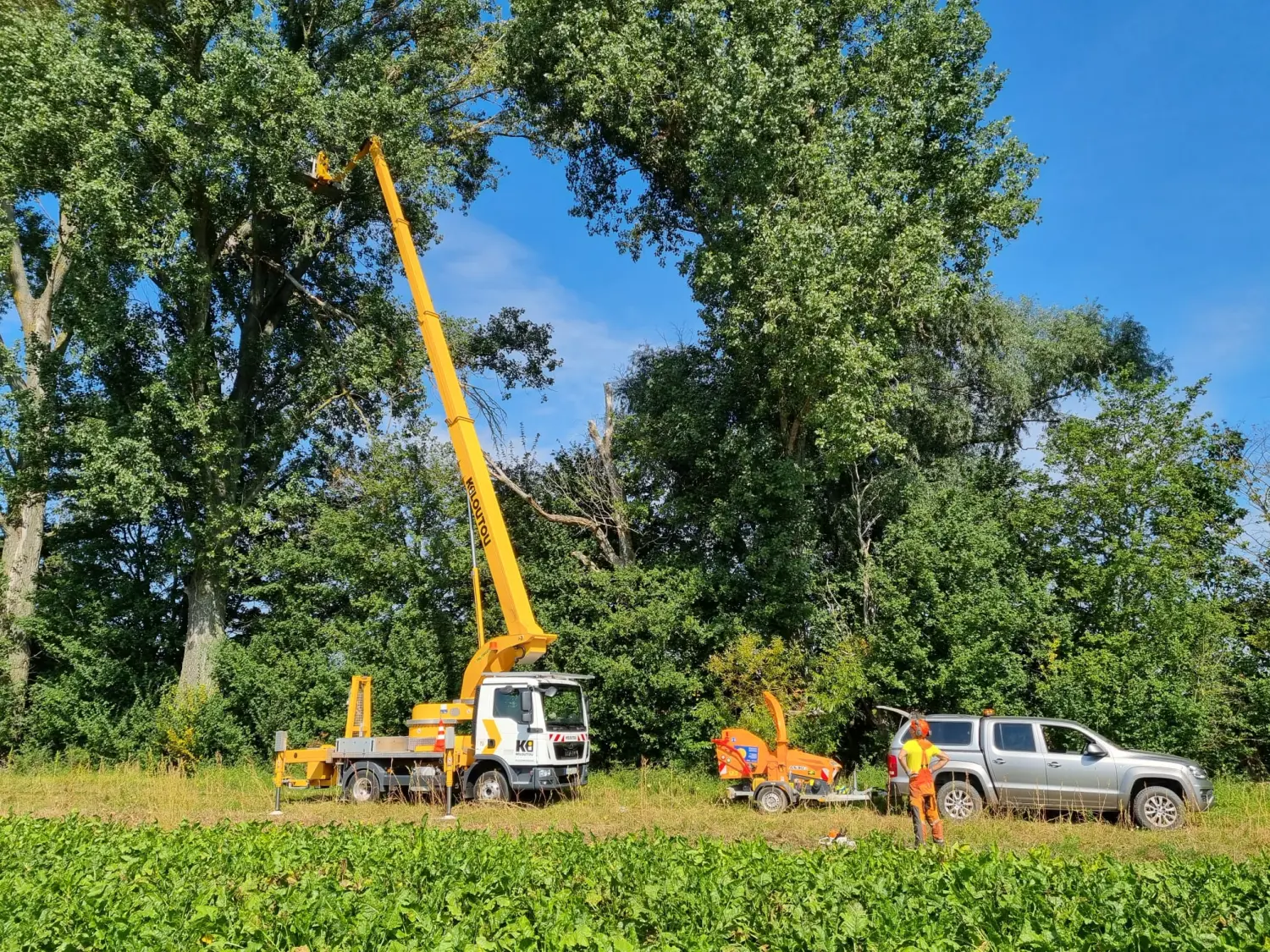 Leistungsspektrum Baumpflege von D&S Schilz 