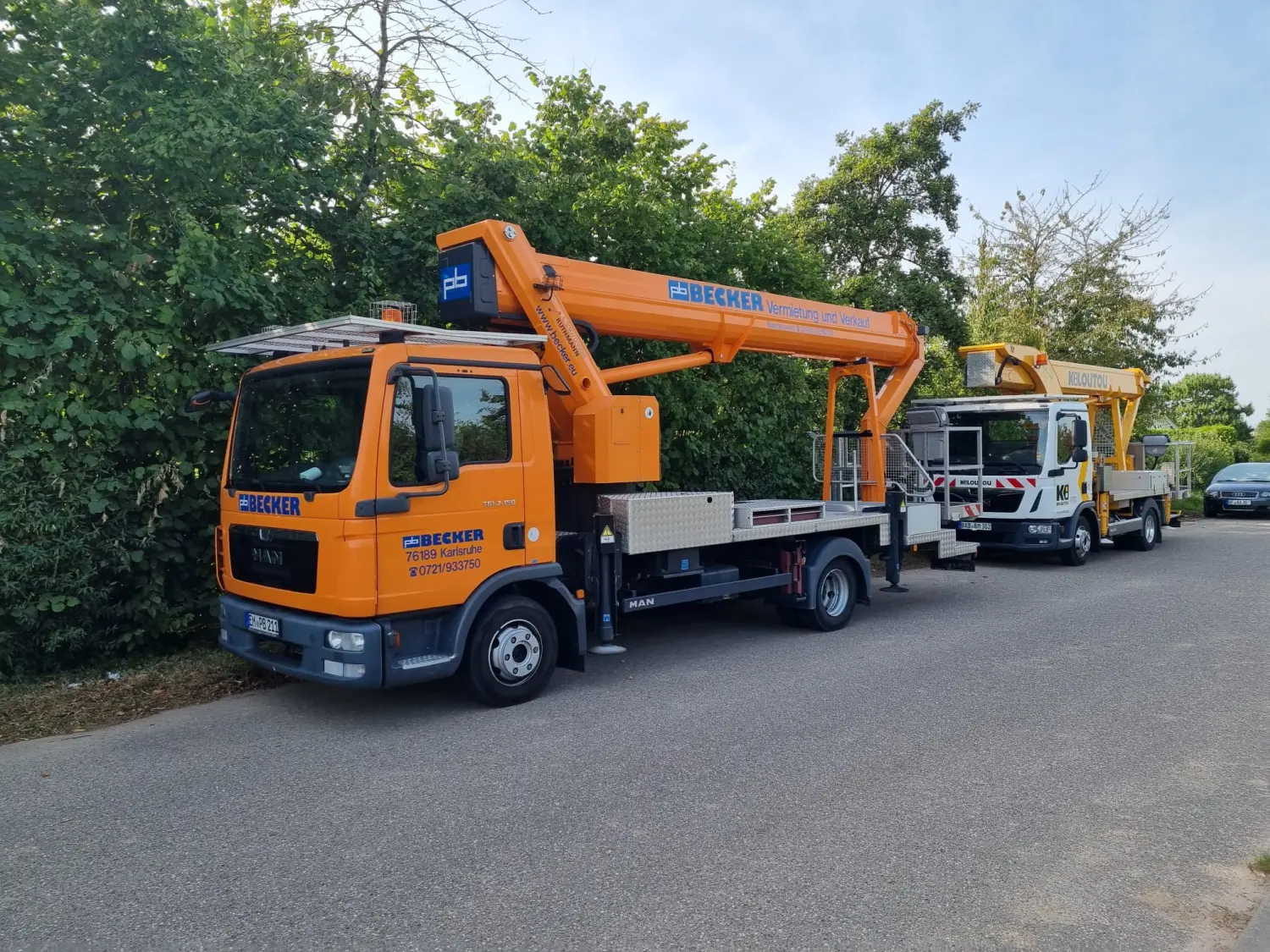 Leistungsspektrum Baumpflege von D&S Schilz 