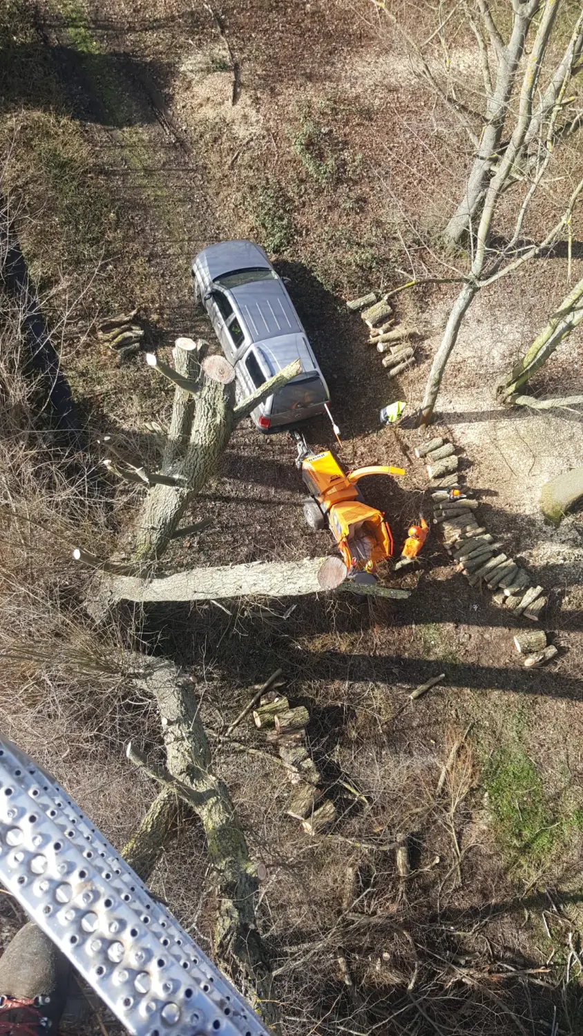 Leistungsspektrum Baumpflege von D&S Schilz 