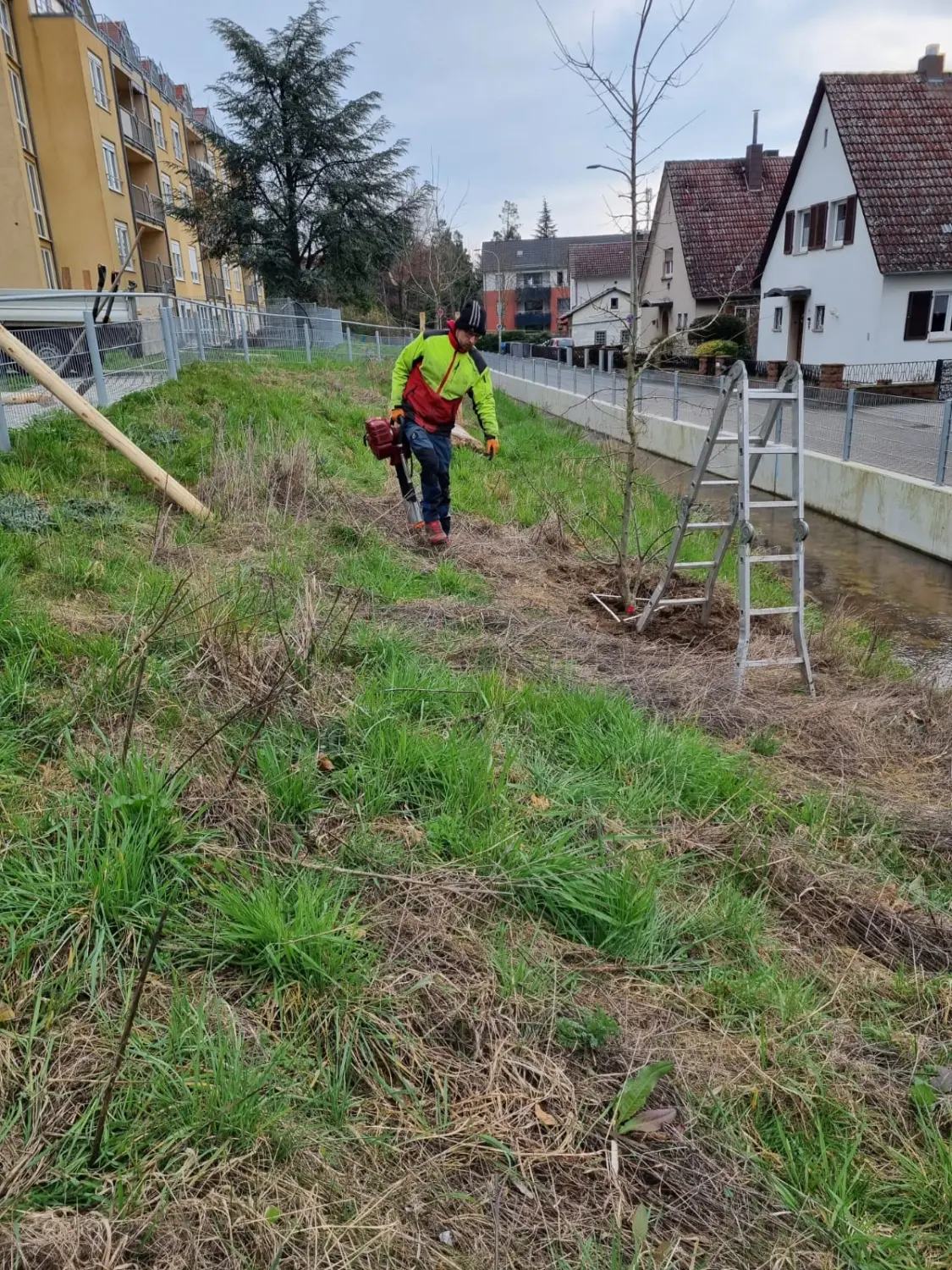 Pflanzungen von D&S Schilz 