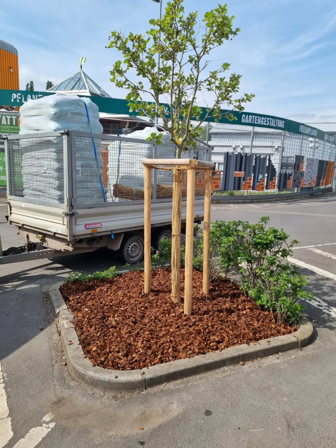 Pflanzungen von D&S Schilz 