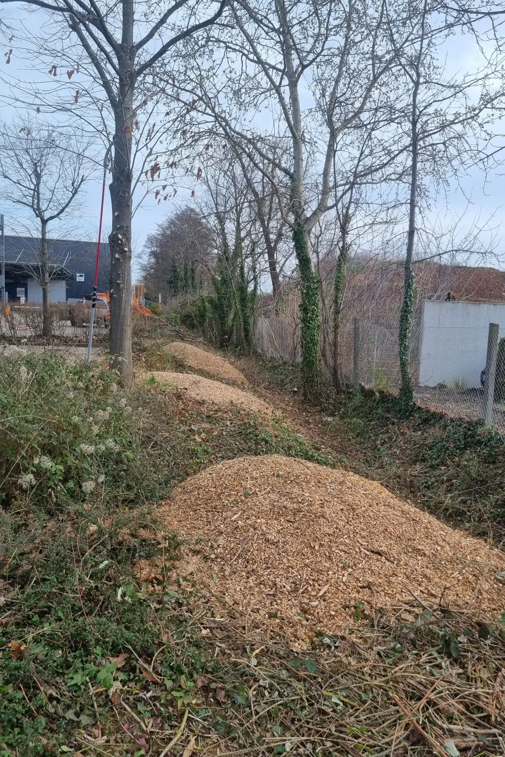 Grünschnittentsorgung und Häcksler von D&S Schilz 