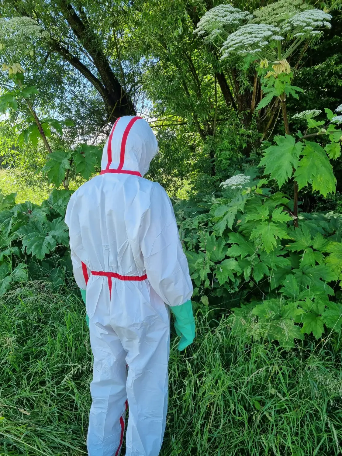 Artenschutz und Neophytenbekämpfungdere von D&S Schilz 