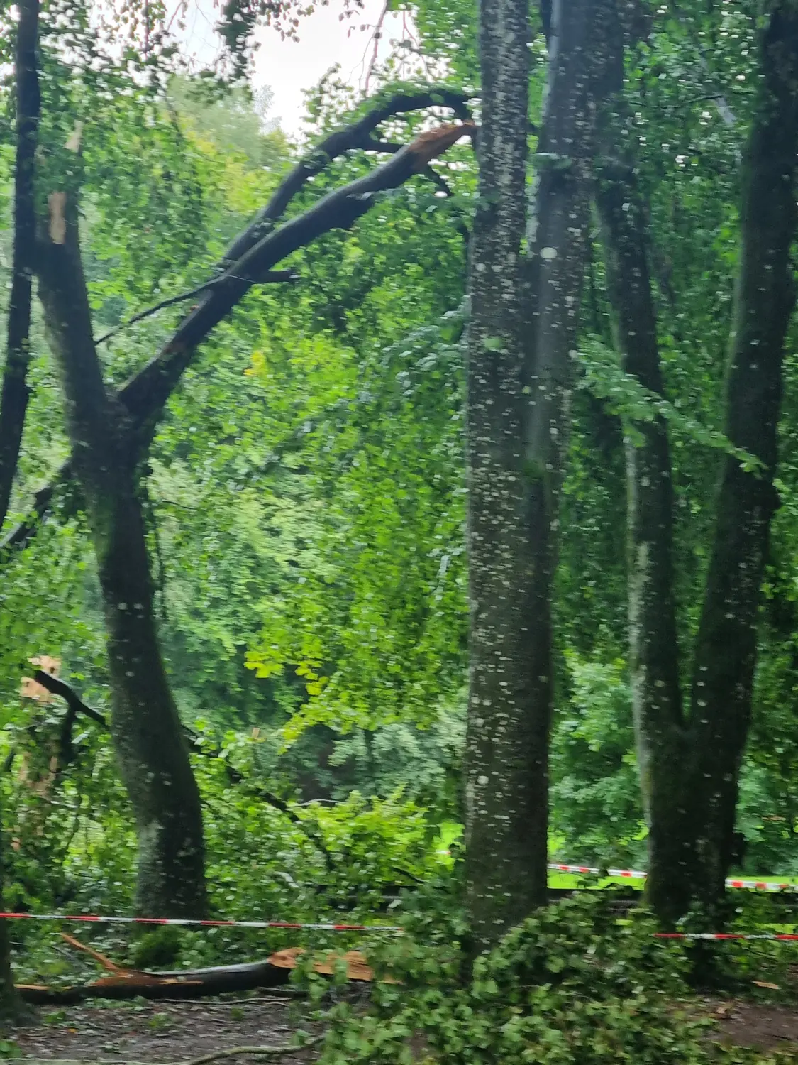 Notfälle von D&S Schilz 