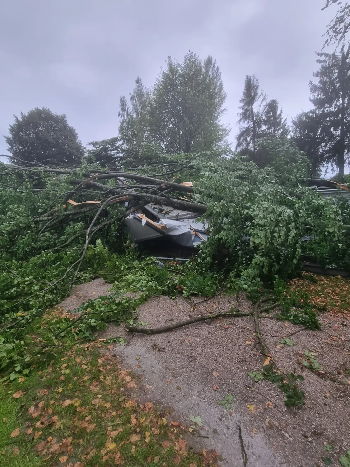 Notfälle von D&S Schilz 