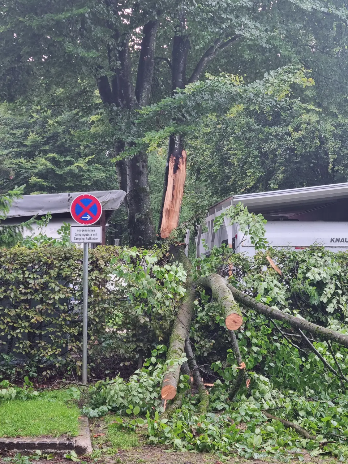 Notfälle von D&S Schilz 