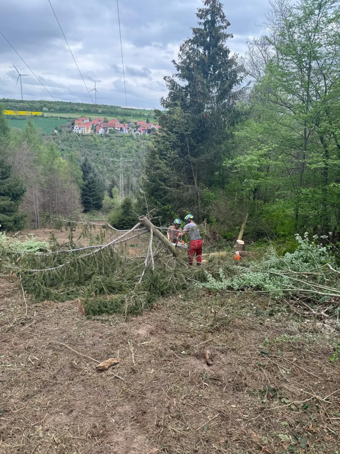Landschafts und Grünftächenpftege von D&S Schilz 
