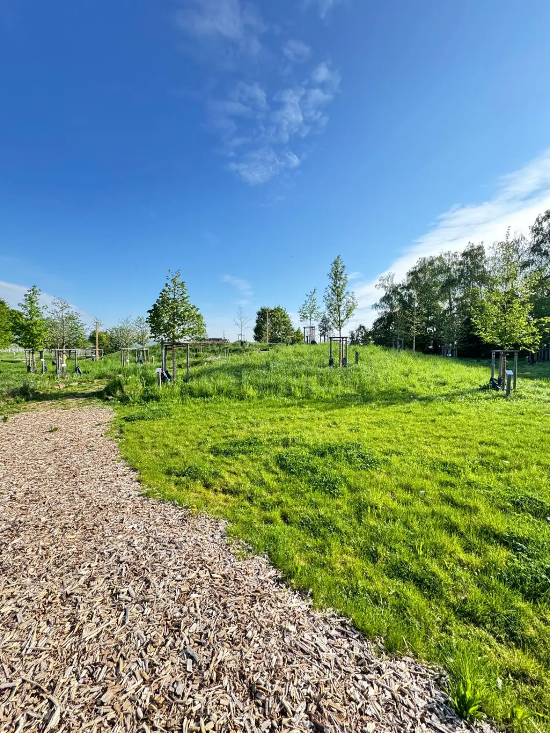 Landschafts und Grünftächenpftege von D&S Schilz 