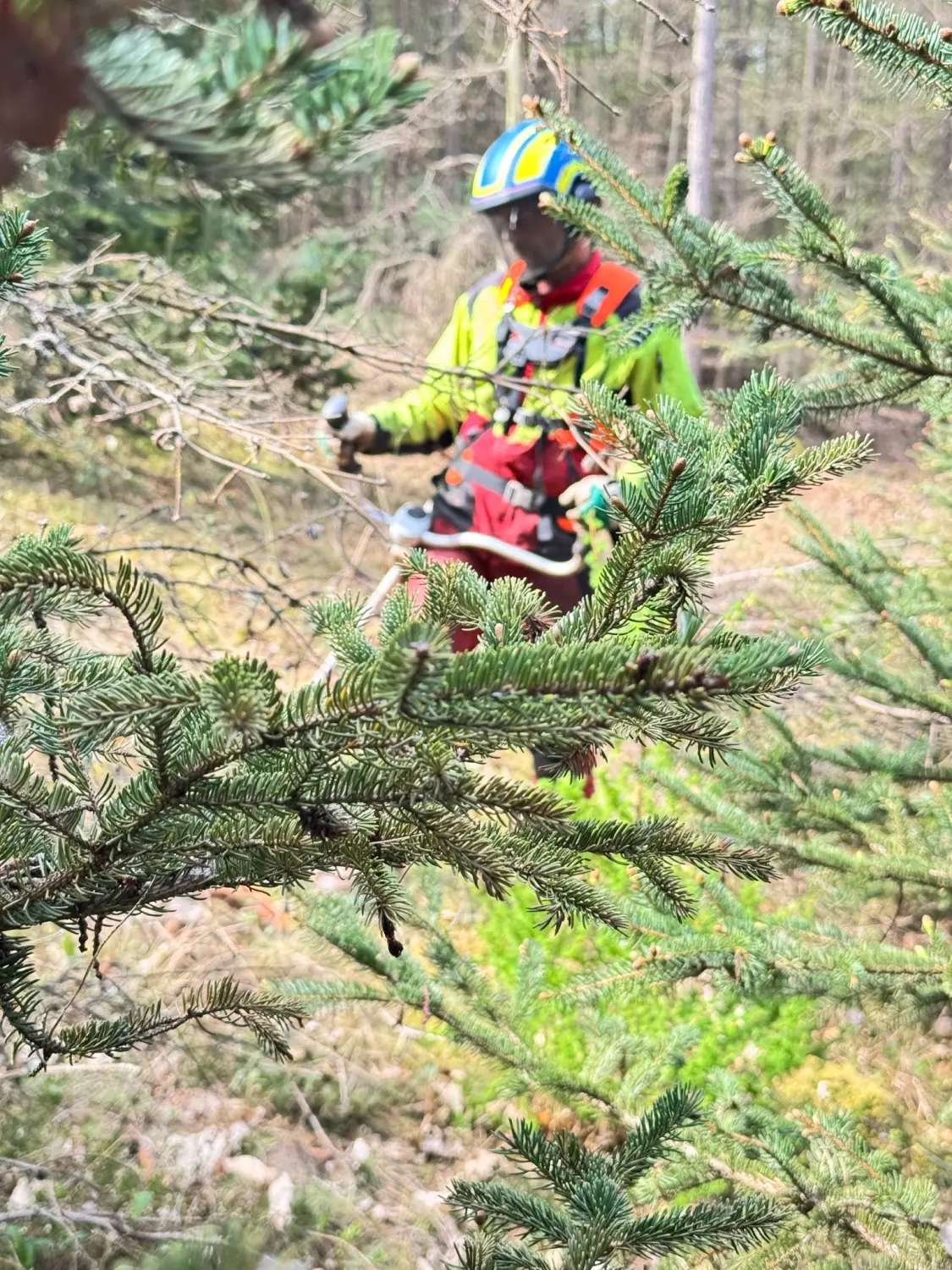 Landschafts und Grünftächenpftege von D&S Schilz 